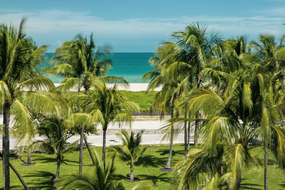 Professional landscaping in Tampa Florida - Tampa Pro Landscape