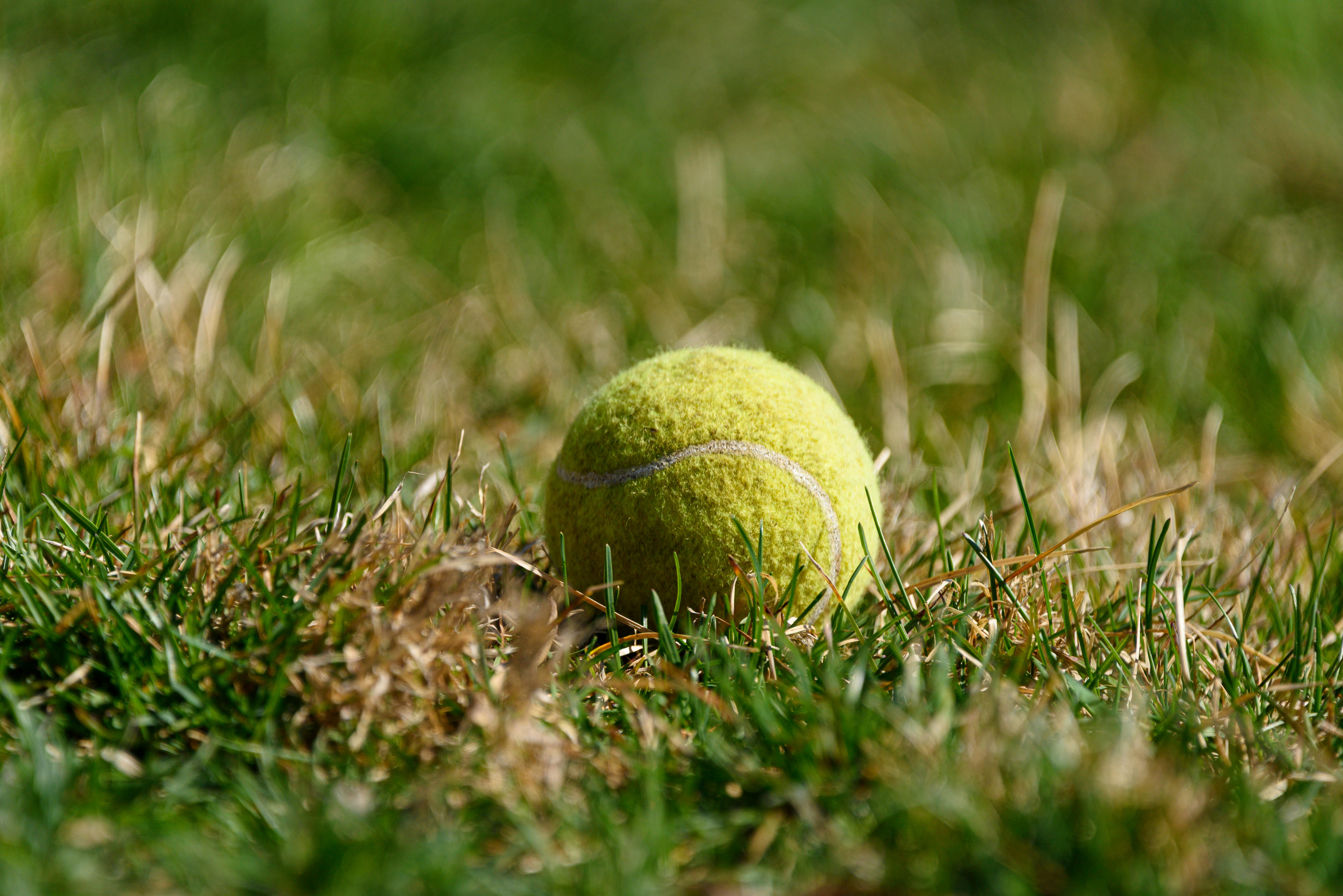 Lawn mowing crew and equipment servicing Tampa neighborhood