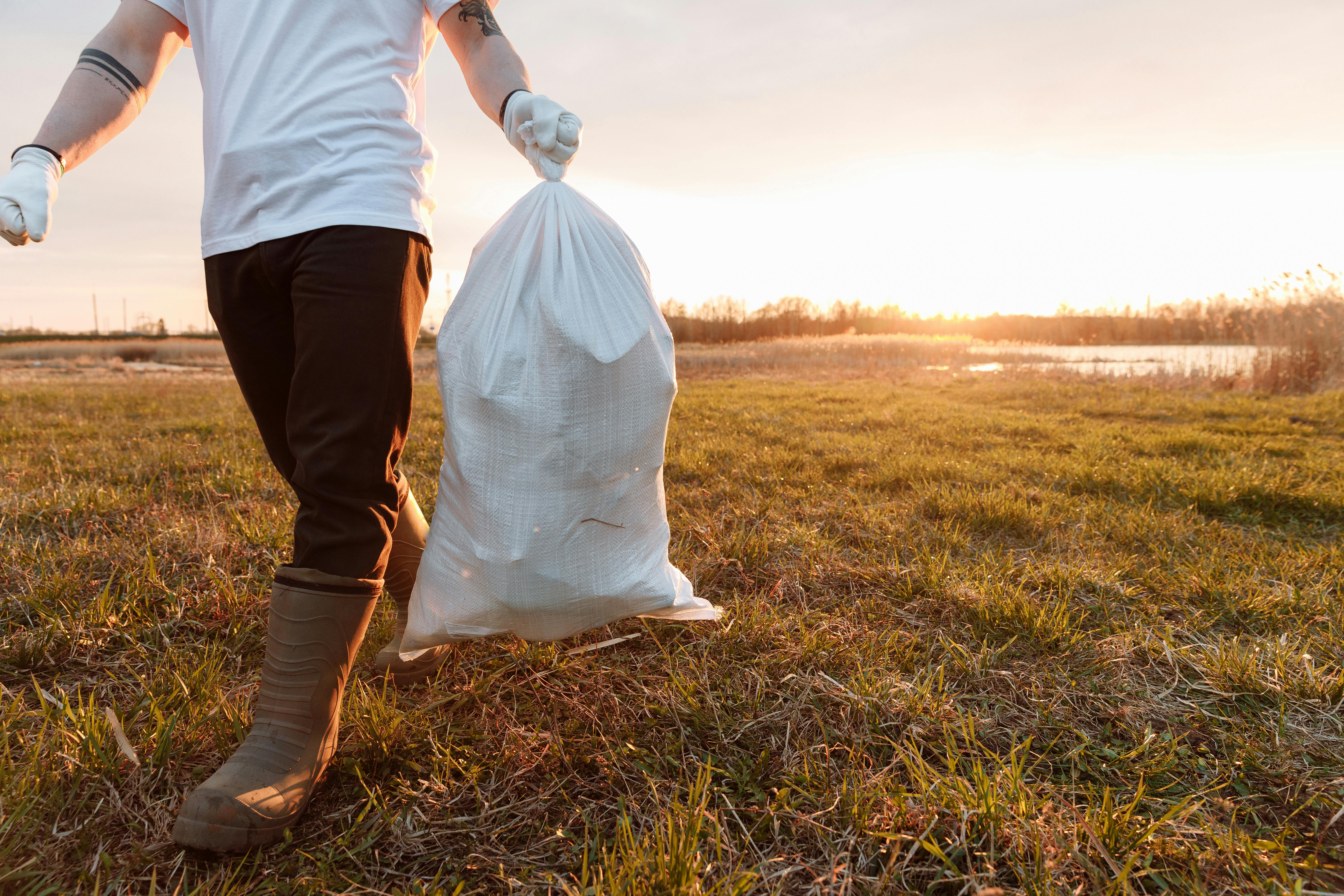 Fall leaf removal service Tampa Florida residential property