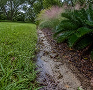 Tampa Pro Landscape Editorial Team, founder of Tampa Pro Landscape